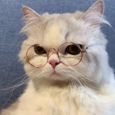 微信头像图片小猫_小猫头像微信头像_小猫头像微信图片大全