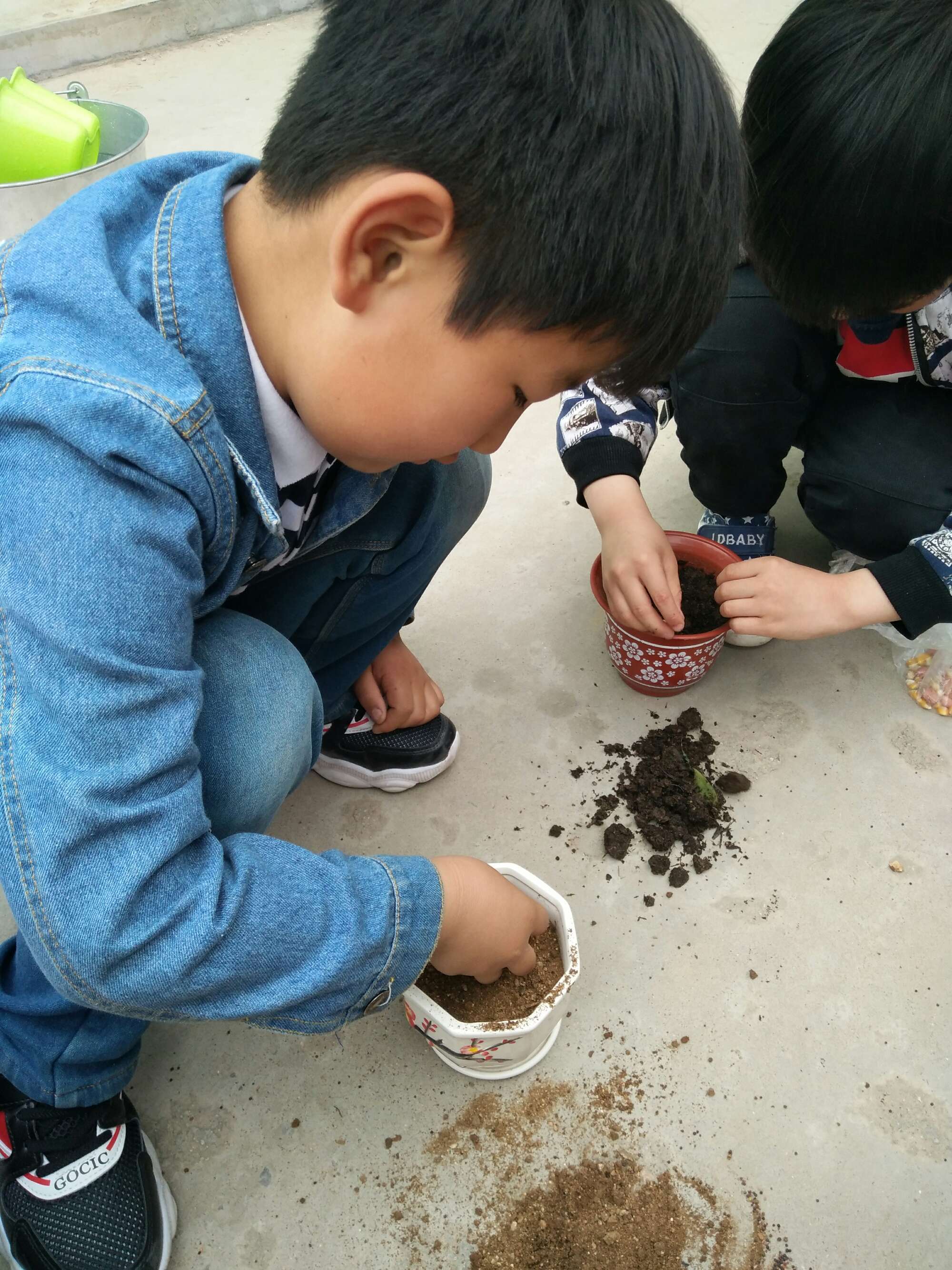 适合生存的种子码_1.16生存种子_容易生存的种子手机版游戏