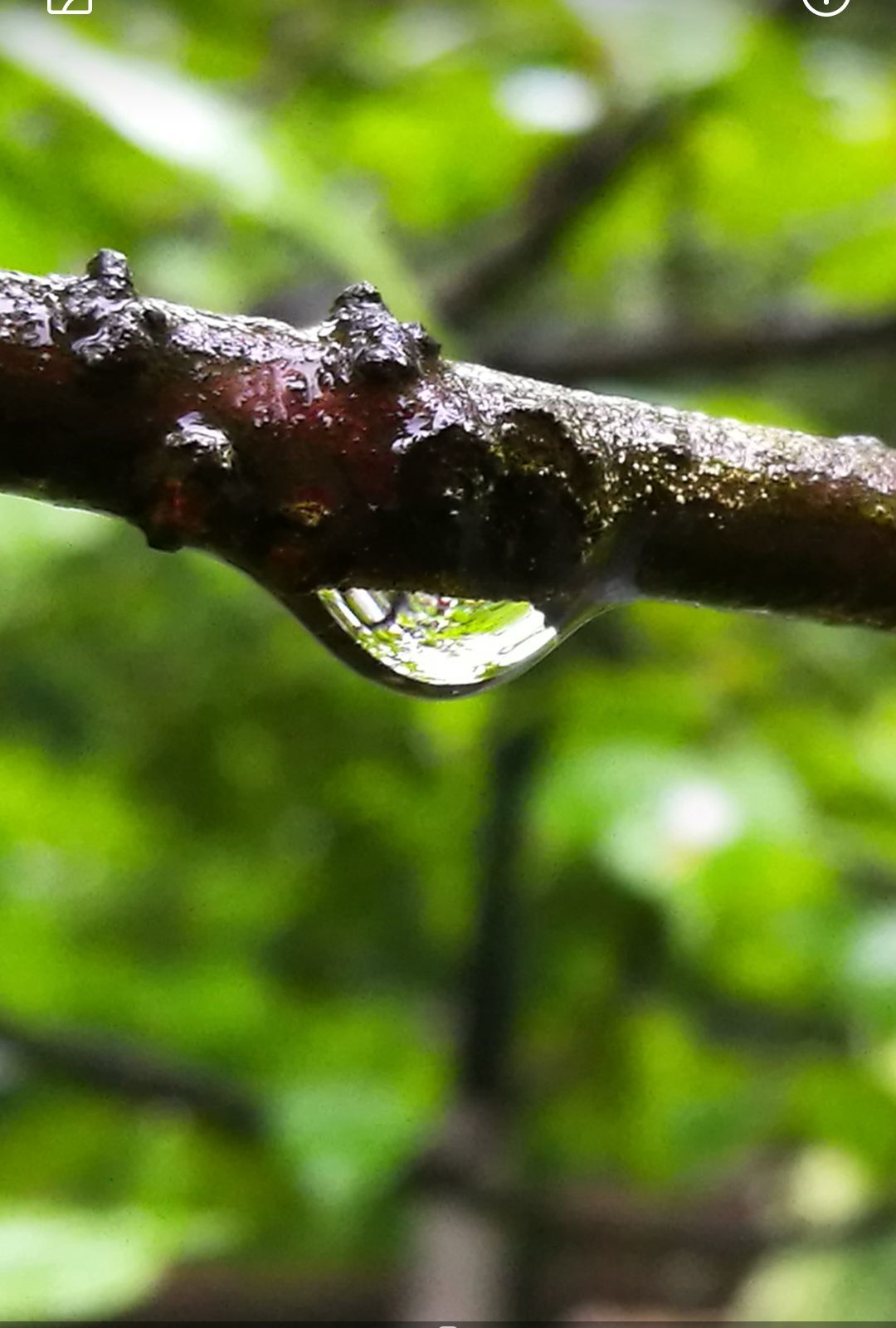 忆雨_忆雨为什么恨人类_忆雨老师是谁