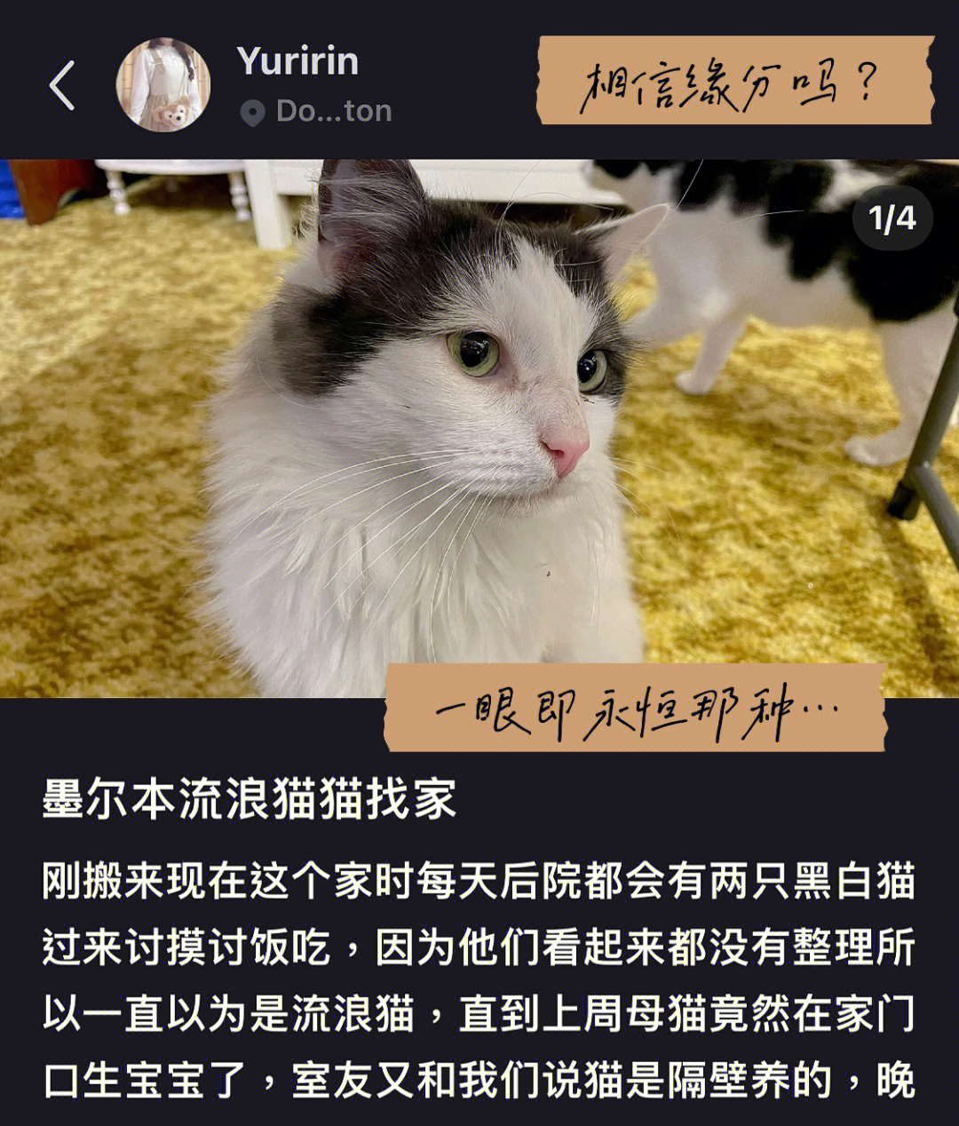 什么手机游戏可爱_好玩可爱的手机游戏_可爱的手机小游戏