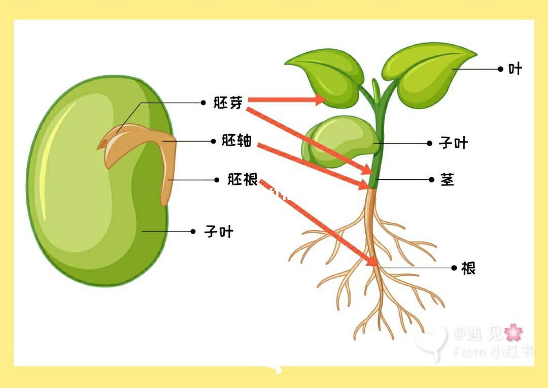 千草妍_千草贵子_千草