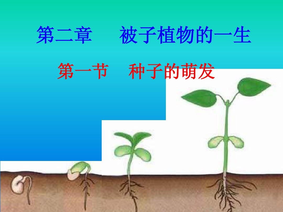 千草_千草贵子_千草妍