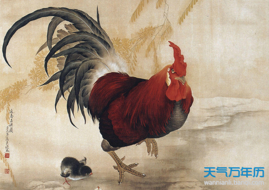 属鸡今年多大_属于鸡今年多大_今年属鸡多少岁呀