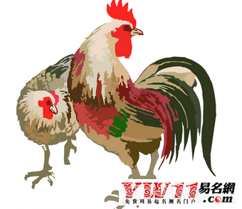 属鸡今年多大_今年属鸡多少岁呀_属于鸡今年多大