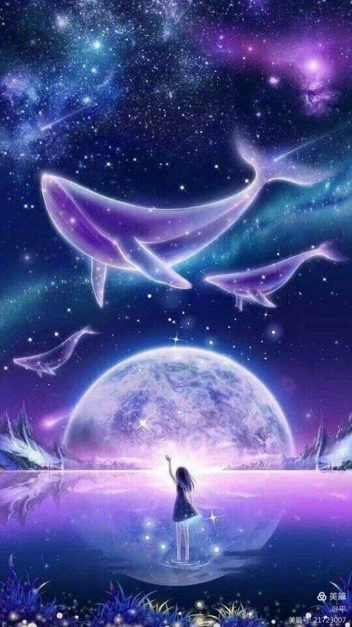 寻星旅团_星寻_寻星网