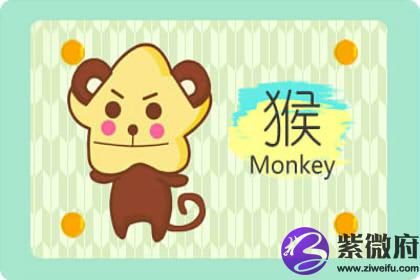 2022是什么生肖属年_生肖属年份_2027年属什么生肖