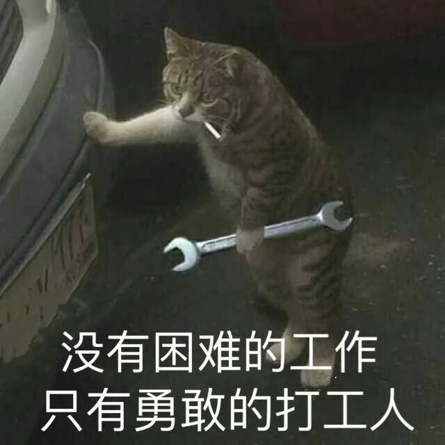 混幺九可以没有九吗_混幺九多少翻_混幺九