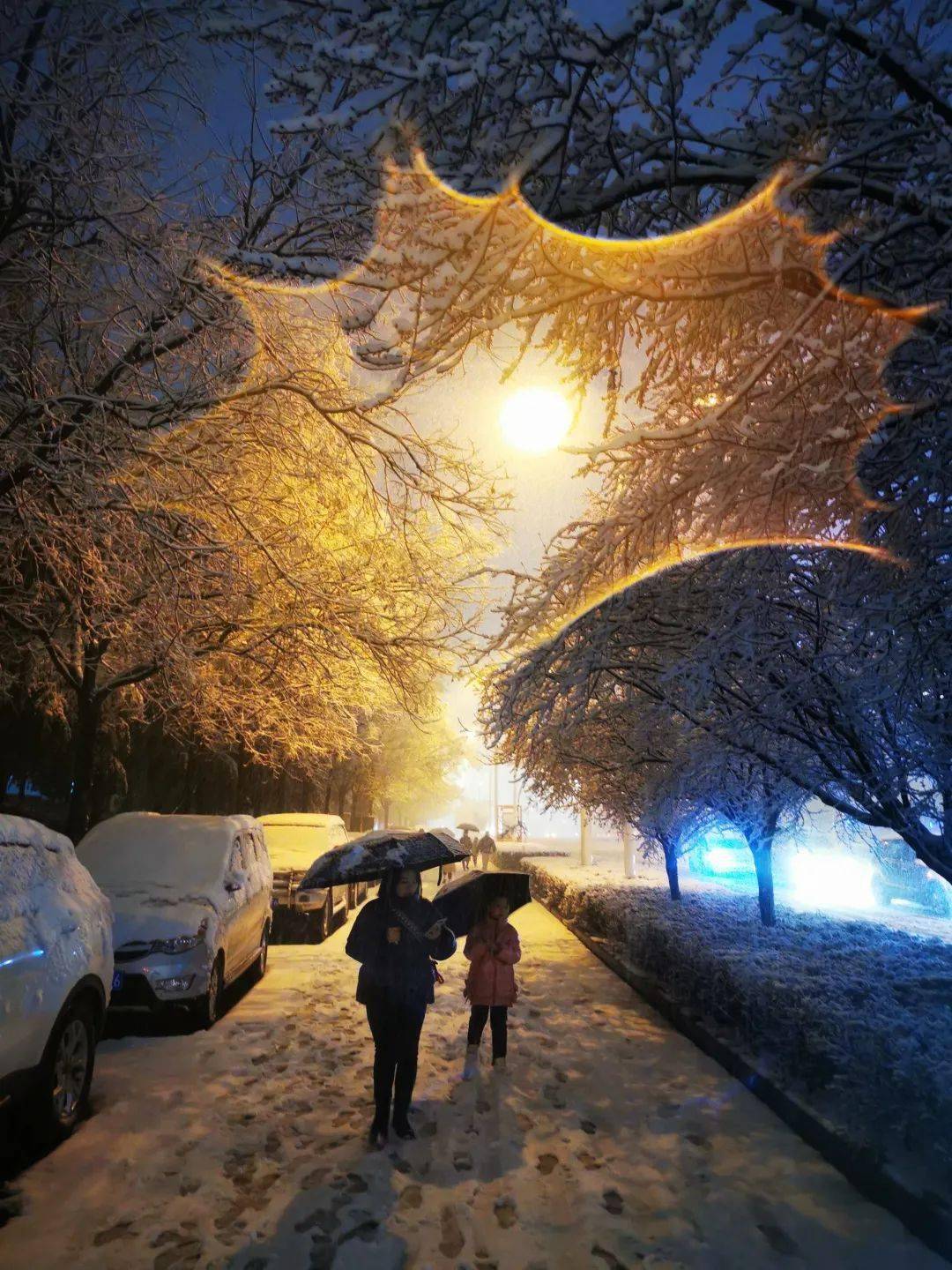 白色相簿_白色相簿第一季哪集最劲爆_白色相簿2男主睡雪菜是哪几