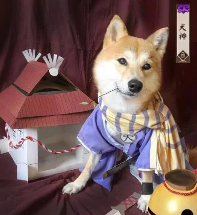 犬神_魔灵召唤风犬神符文_犬神家族