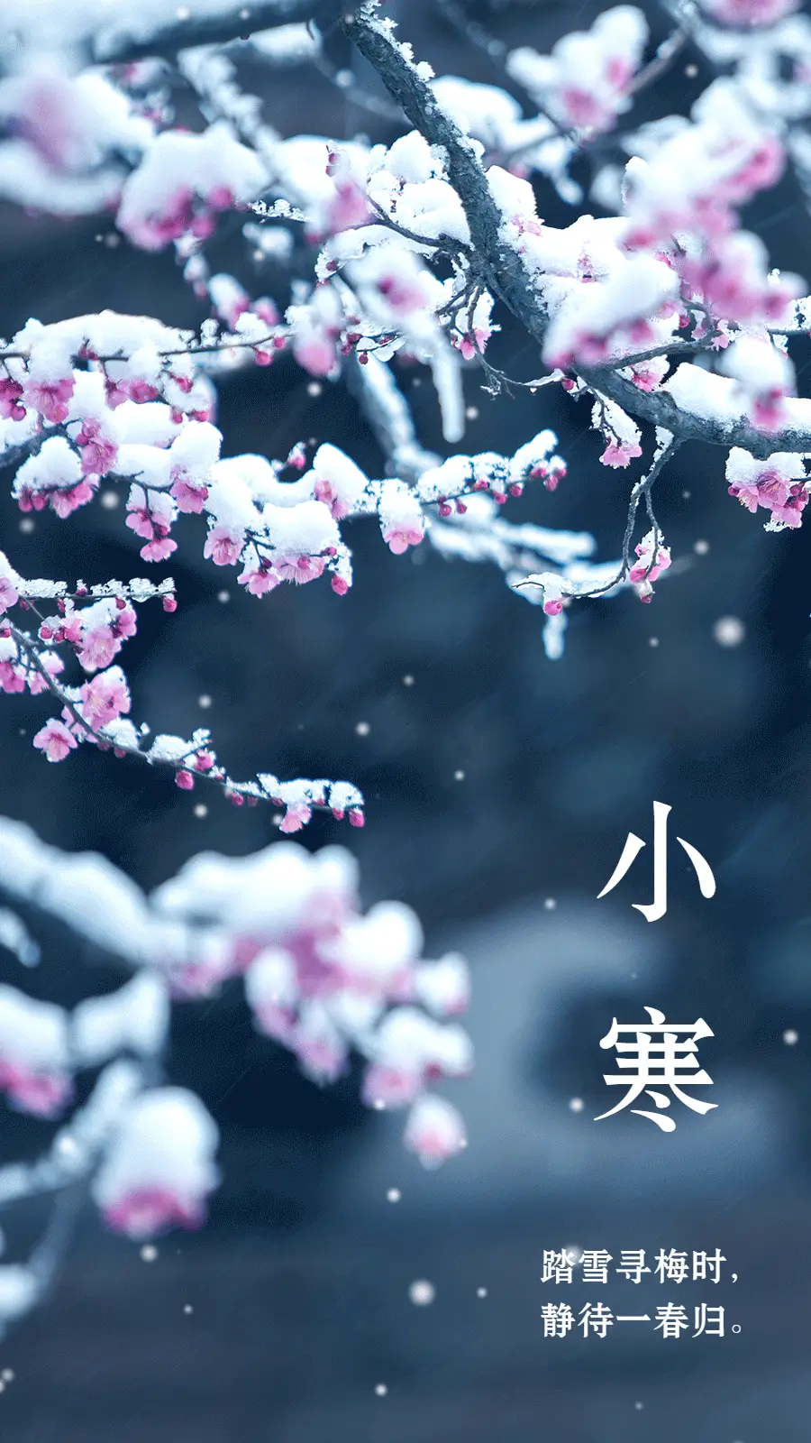 小寒的含义和谚语_小寒是指什么和什么_小寒是什么意思