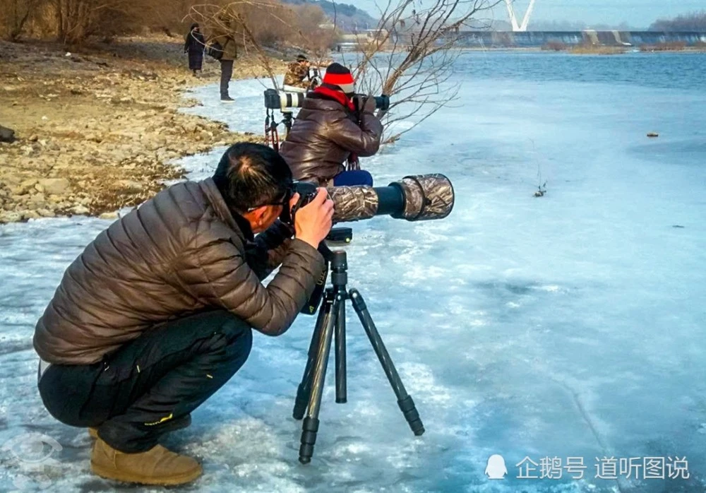 群里面玩游戏_手机打游戏一直有群消息_群消息打手机游戏有提醒吗