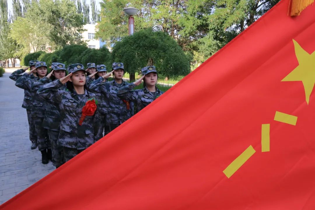 海豹这个梗是怎么来的_海豹是什么梗_海豹梗出处