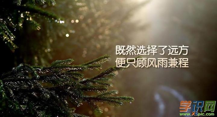 人生游戏说说_人生感悟的手机游戏有哪些_游戏人生感悟的句子