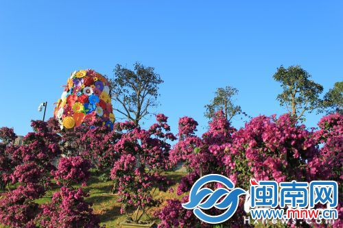 安卓春天适合玩手机游戏的软件_适合春天玩的安卓手机游戏_安卓春天适合玩手机游戏吗