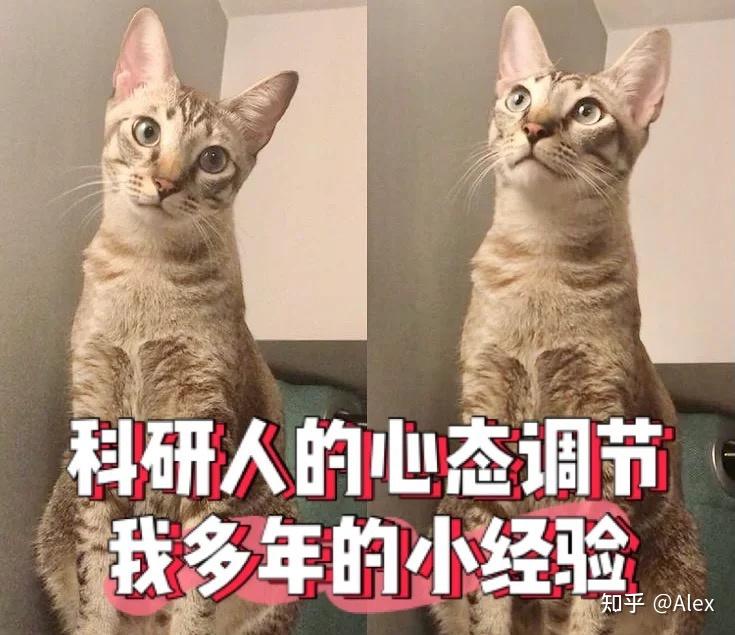 友利奈绪是_charlotte友利奈绪_友奈利绪表情包
