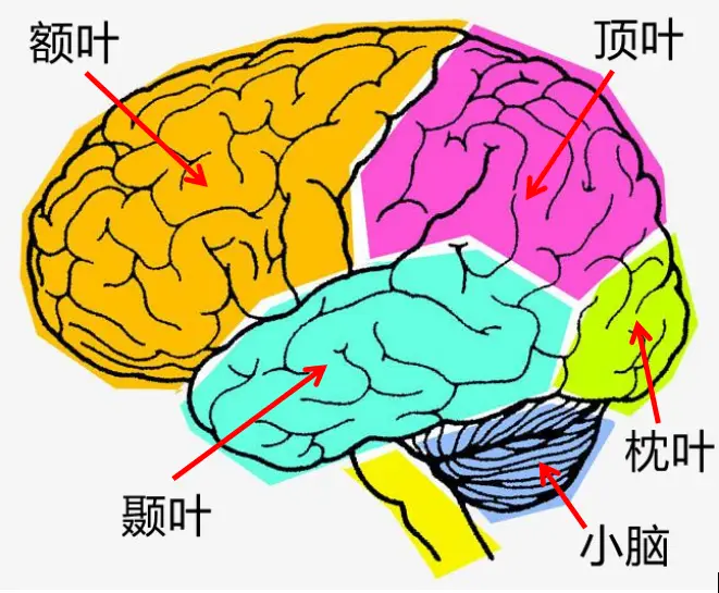 神经游戏id_神经游戏无限_神经手机游戏