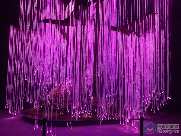 祈雨_祈雨演员_祈雨凤仙郡