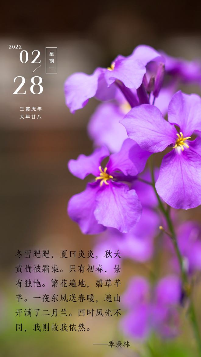 闰三月_三月闰二月_三月闰月