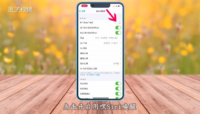 iphone语音游戏声音小_苹果手机语音压游戏声音_ios语音游戏声音变小