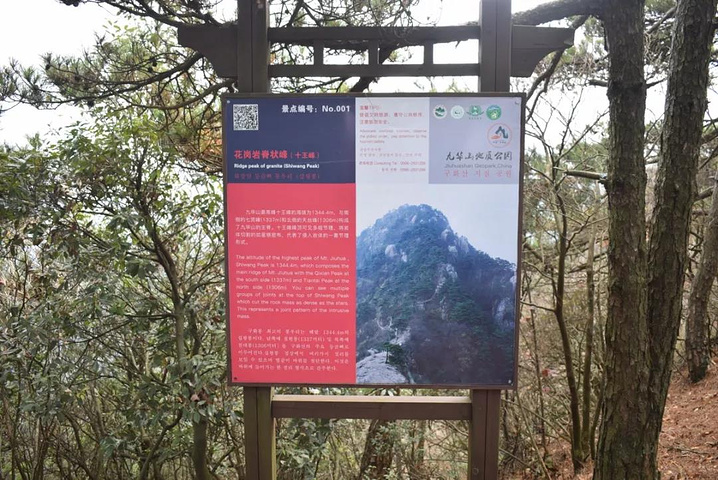 游戏需要权限打开怎么办_游戏需要手机权限是干嘛_干嘛权限手机游戏需要是新用户
