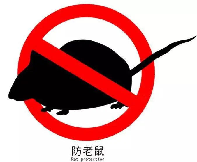 三人生存游戏大全_手机版的三人生存游戏下载_三人生存联机游戏