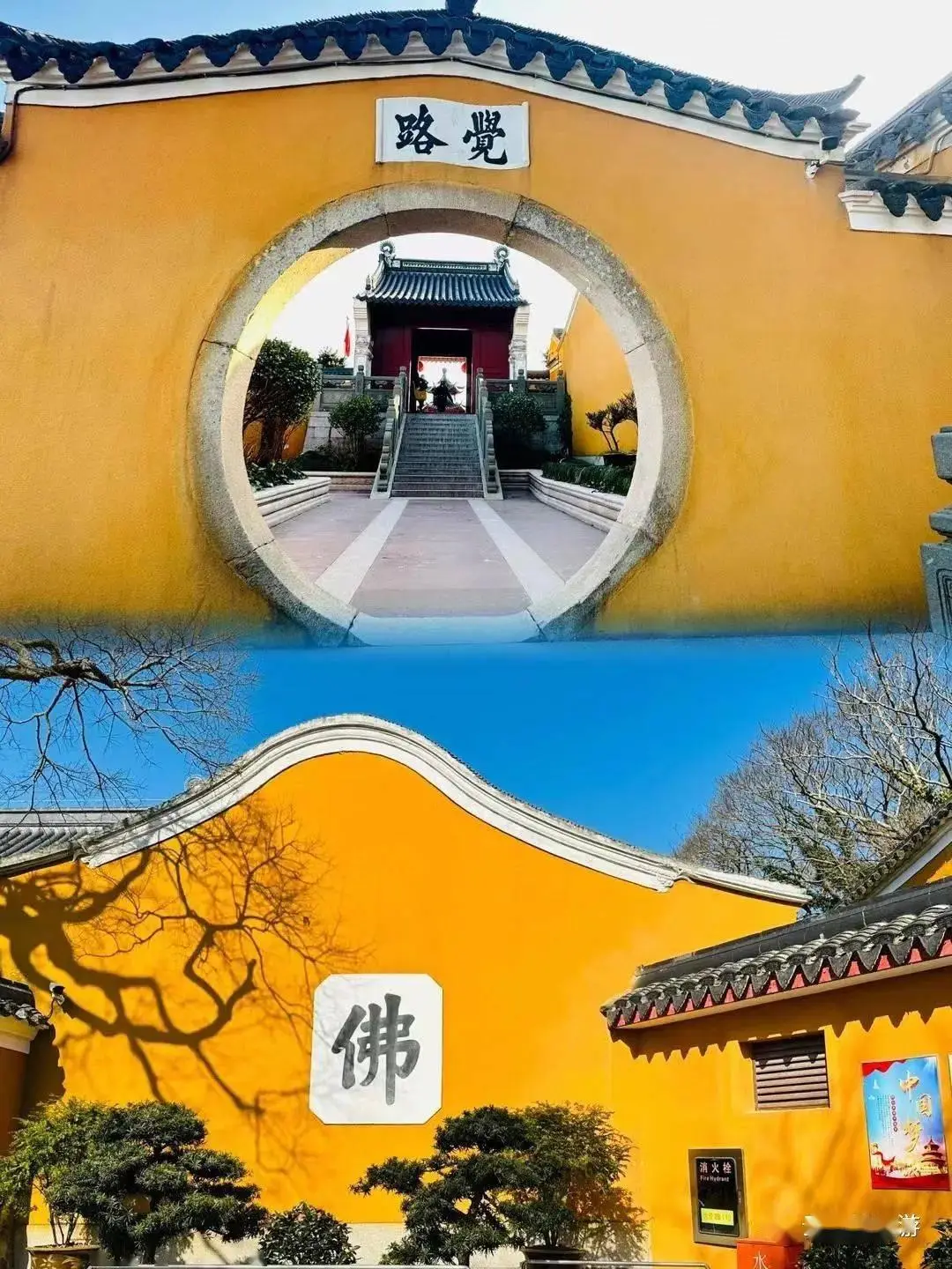写轮眼_万花镜写轮眼和万花筒写轮眼_永恒的万花筒写轮眼