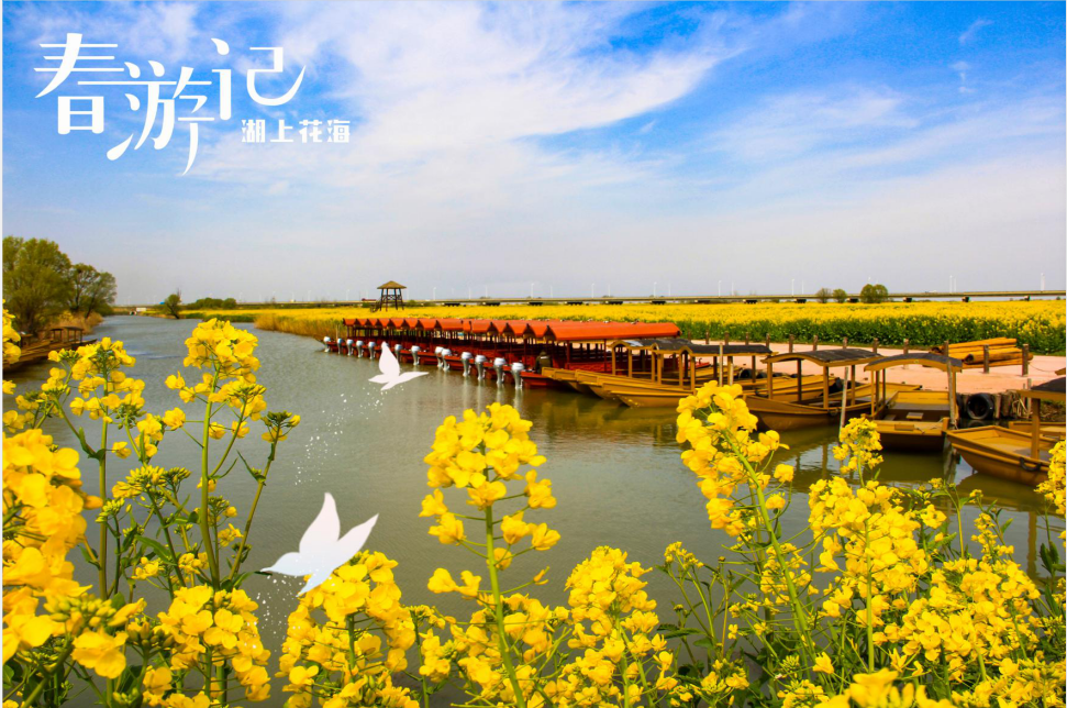 三月三日是指什么节_三月三日是什么星座_三月三日