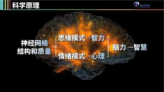 实验体_实验体为什么要找任小粟_实验体007