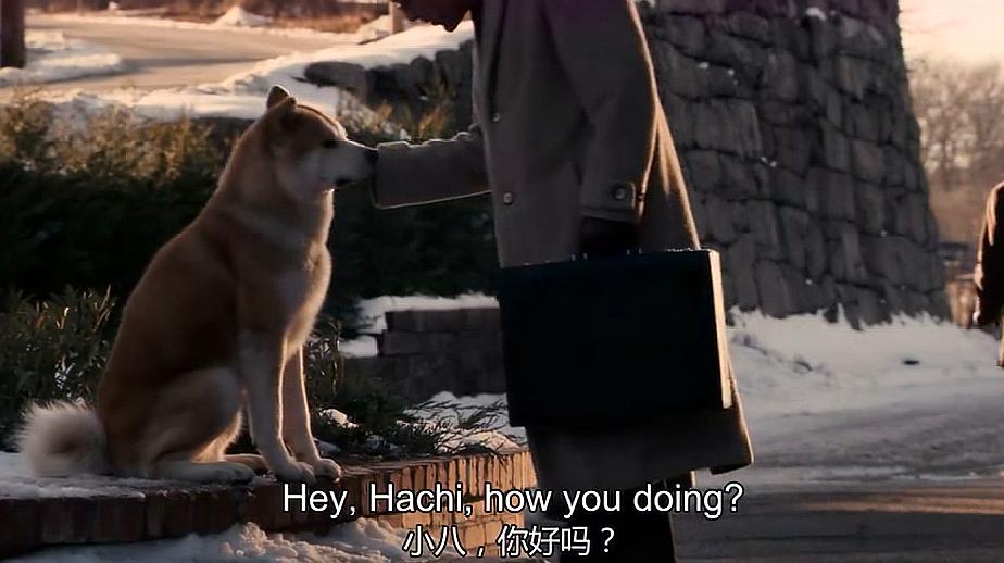 忠犬八公高清免费播放-忠犬八公：爱与忠诚的感人故事