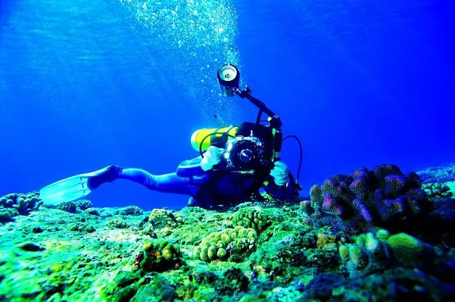 深海迷航免费下载手机版中文_深海迷航手机版免费下载安装_深海迷航游戏免费手机版