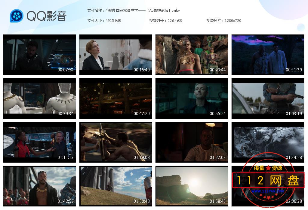 黑豹完整版在线观看免费_黑豹在线播放完整版_黑豹2在线观看完整版免费高清