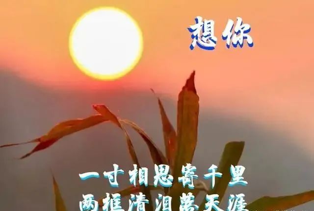 文学者の恋文さゆこ_恋文_文学者の恋文罗马音