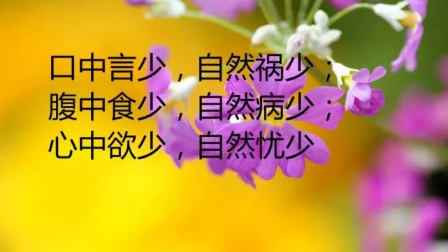 命运化妆师_命运化妆师台词_命运化妆师里面的孩子