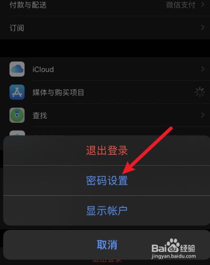 下载app让输入密码_苹果下软件输入密码后还是获取_iphone下载app每次都要输入密码