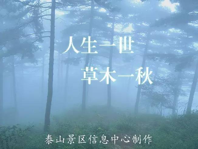 宿舍怪谈_宿命是什么意思_合宿