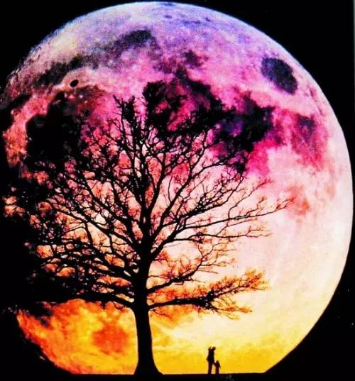 手机黑夜游戏_黑夜手机游戏怎么玩_黑暗手机游戏