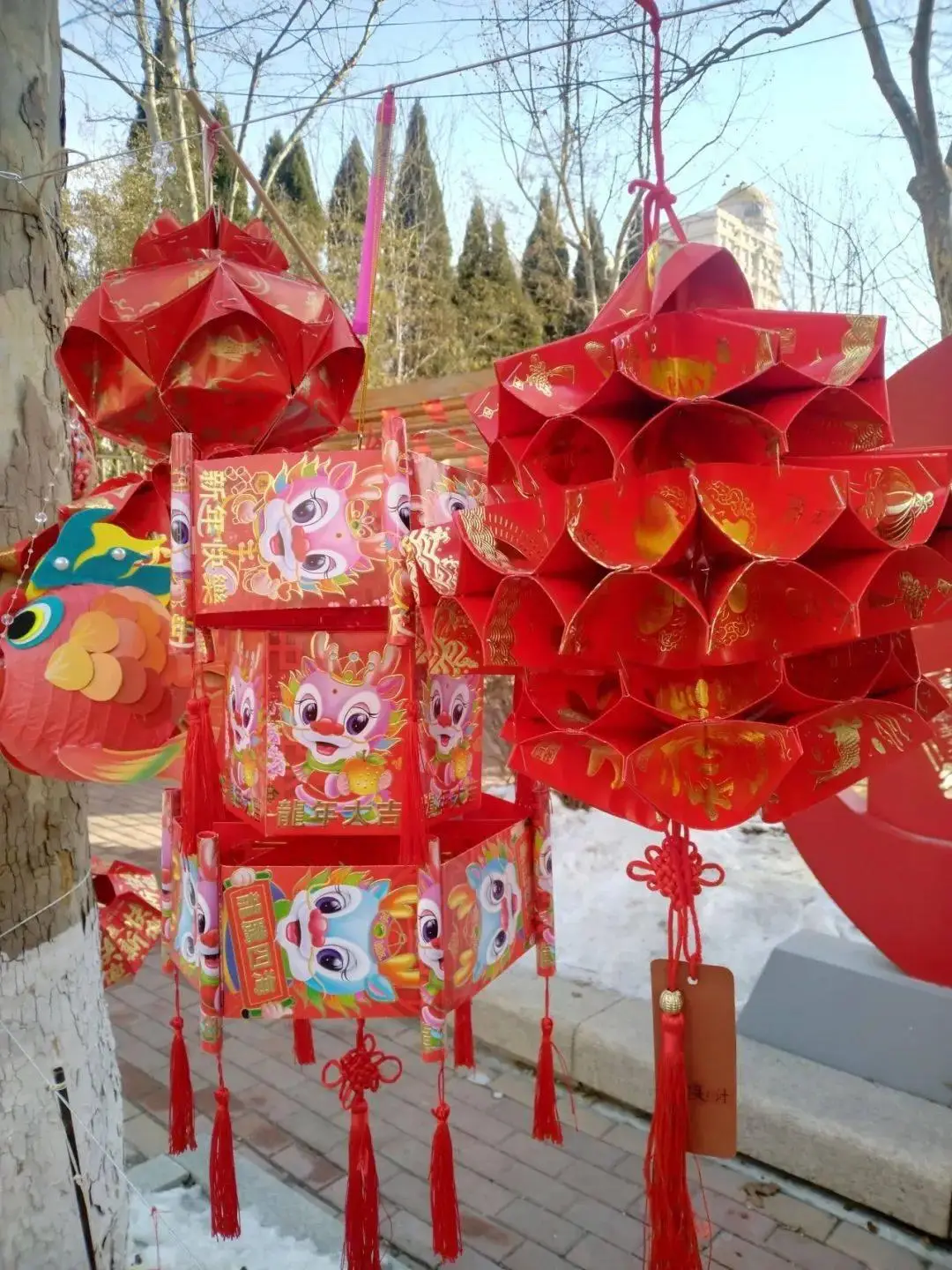 大原由衣子_衣原1号功效_衣原休是什么意思