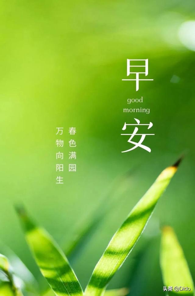 手机版等价交换下载_等价交换升级版_手机免费版的等价交换游戏
