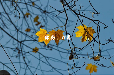 11月30日是什么节日_节月是什么意思_节日在大月的是