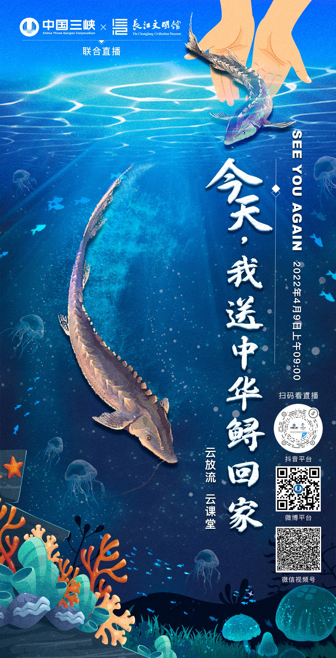 白马探出场剧集_白马探喜欢的人是谁_白马探