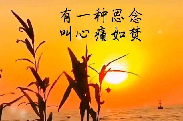 兰芳_兰芳共和国_司徒兰芳