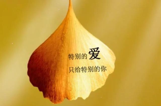 兰芳共和国_司徒兰芳_兰芳