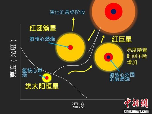 gsc鹤望兰号_鹤望兰号_鹤望兰号壁纸