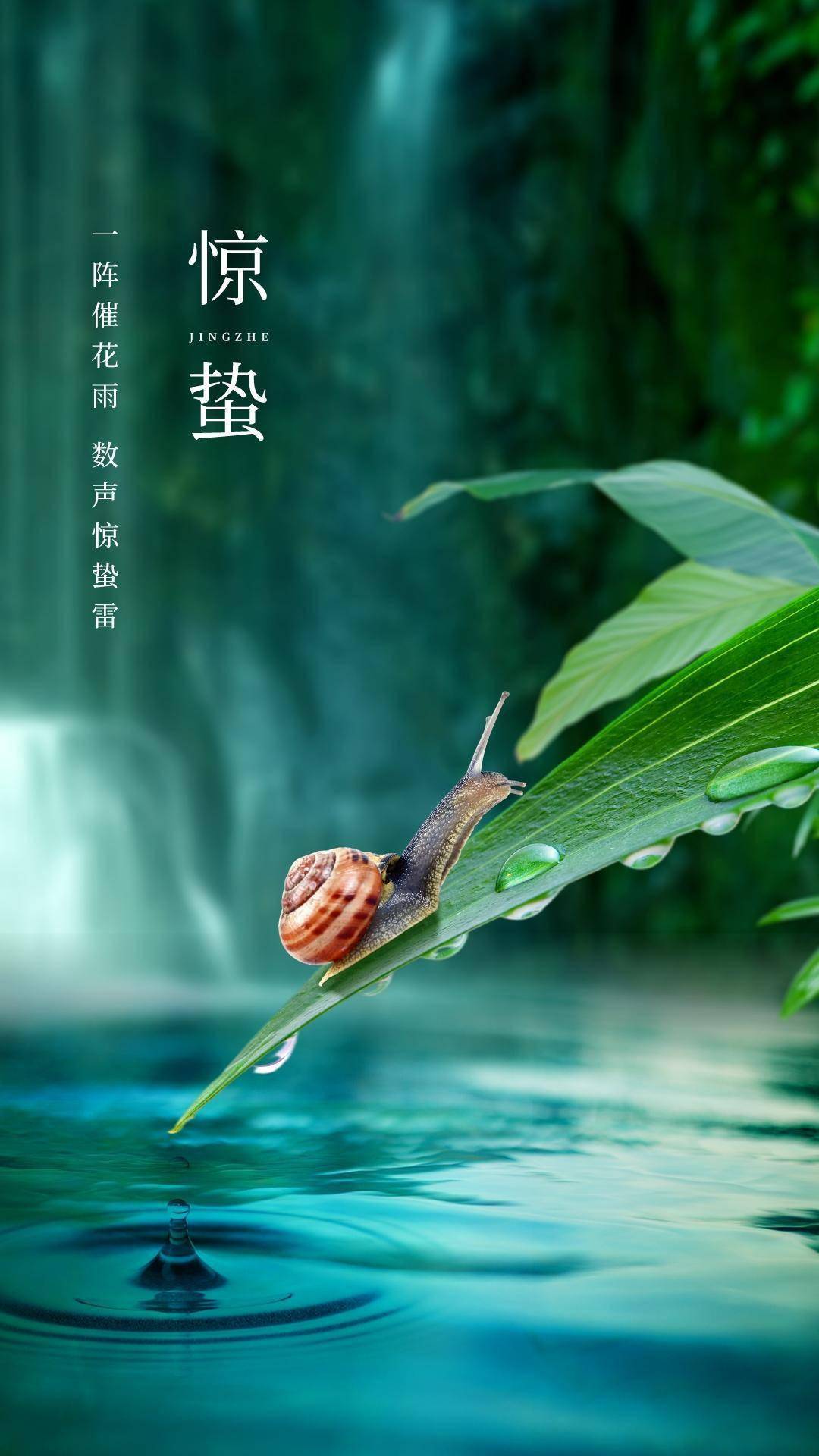 惊蛰是几月几号_惊蛰的月亮是满月吗_惊蛰月歌词