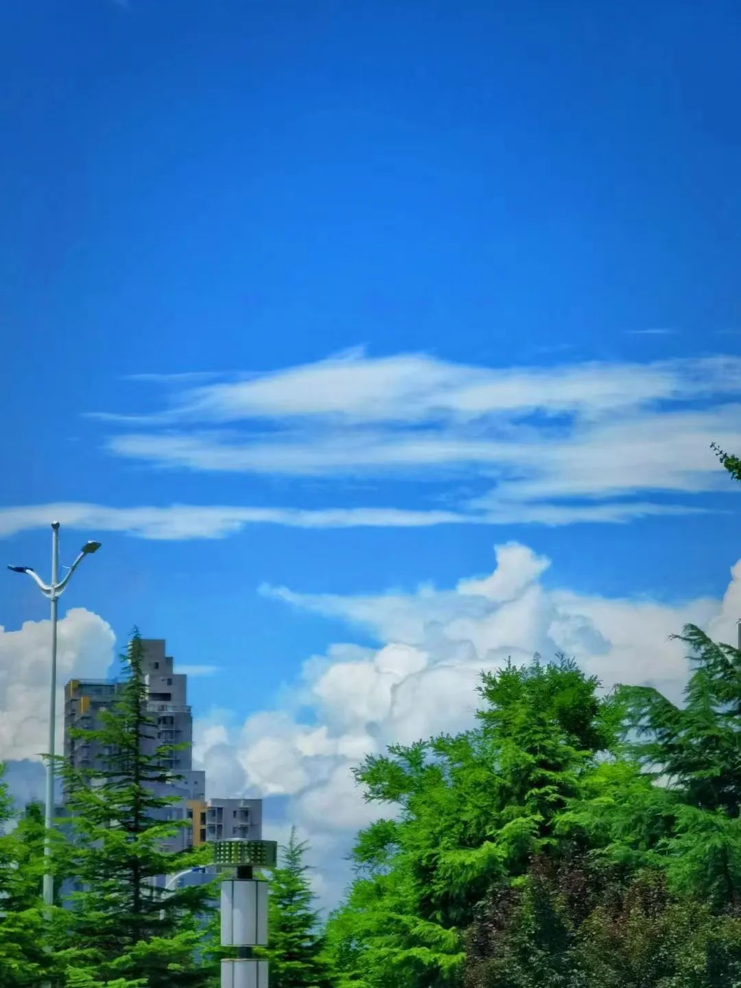 杏璃_杏璃_杏璃