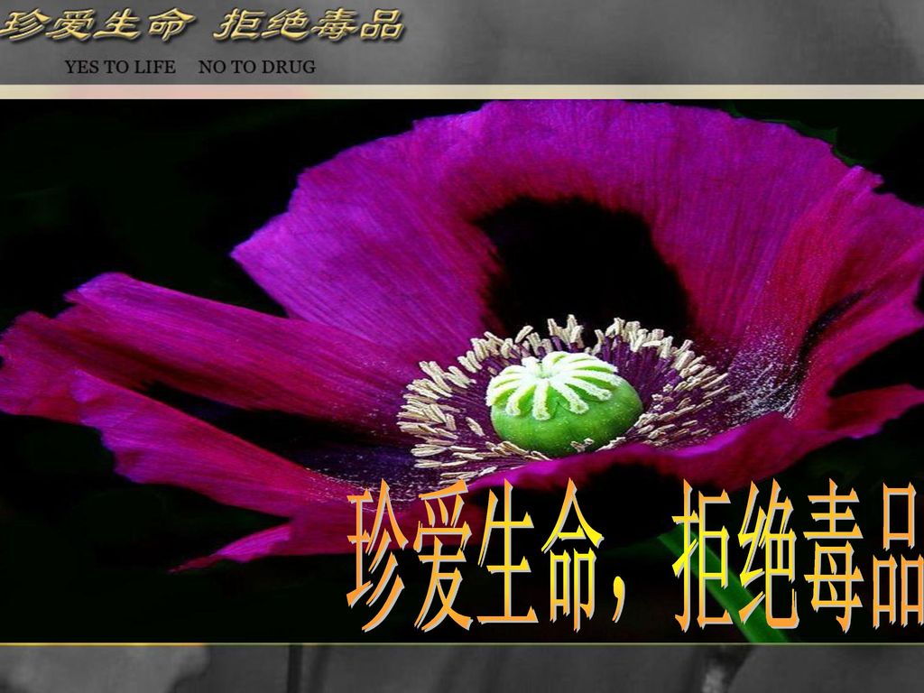 918事变是哪一年发生的_918年什么事变_918事变发生在1937年