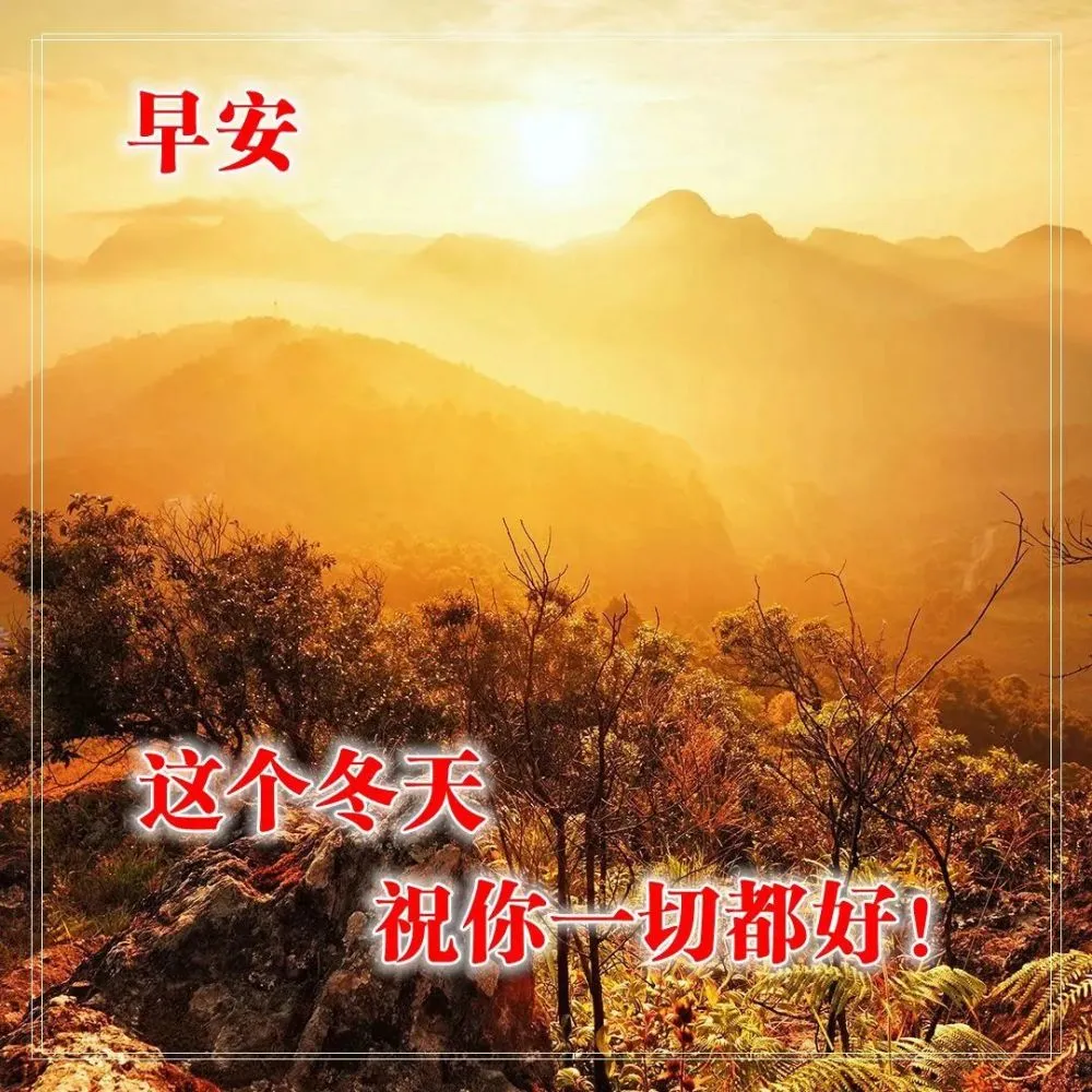 维鲁莎多_维鲁莎多_维鲁莎多