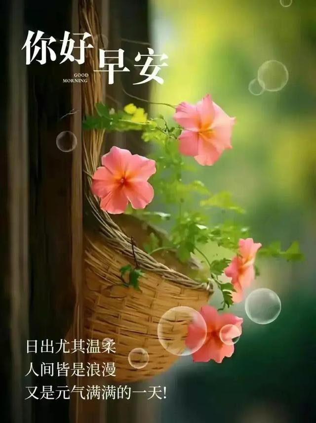 芙拉维尔蛋糕_芙拉_芙拉香水