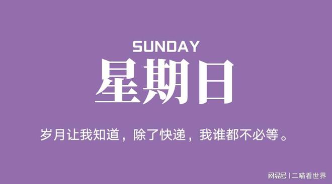 日子是啥_日子月是什么意思_11月8日是什么日子