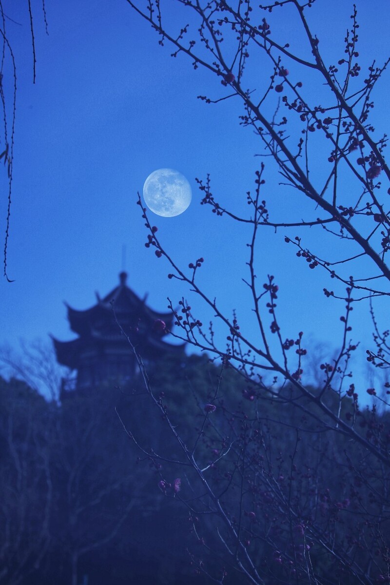 腊月十八_腊月十八是哪个神仙的生日_腊月初五出生的男孩什么命